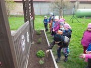 Pěstujeme bylinky na zahrádce